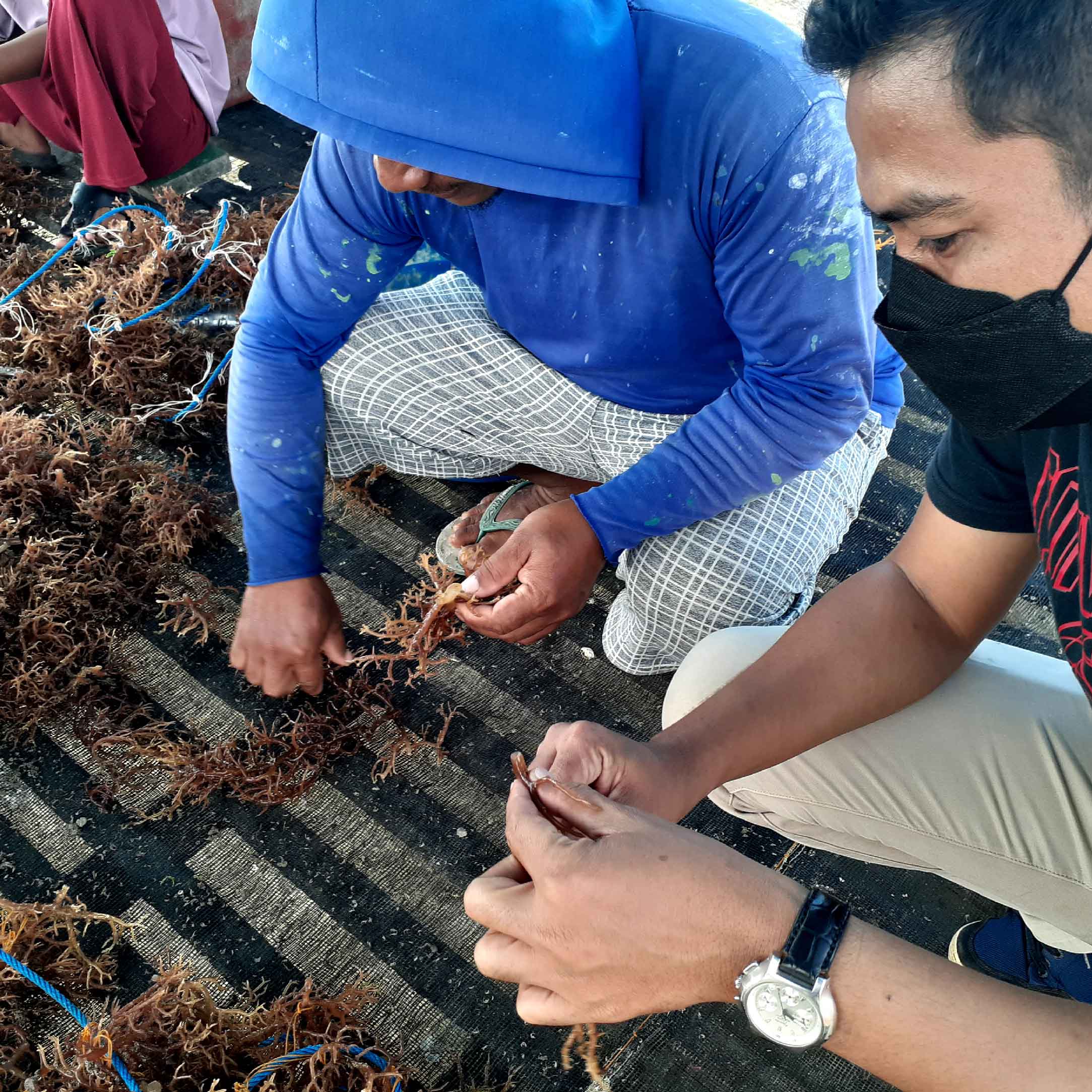 CONTOH SOAL SKB PPPK PEMBINA MUTU HASIL KELAUTAN DAN PERIKANAN